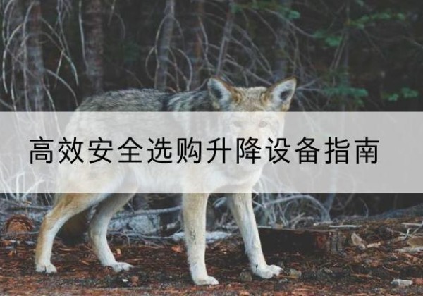 灵山升降货梯厂家推荐-*安全选购升降设备指南