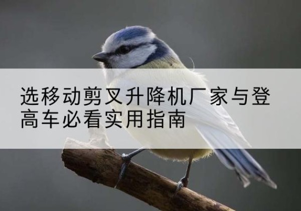 灵山电动升降机厂家-选移动剪叉升降机厂家与登高车必看实用指南
