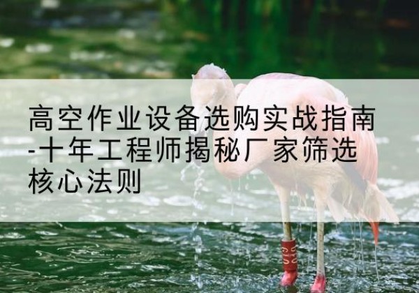灵山剪叉式升降机厂家-高空作业设备选购实战指南-十年工程师揭秘厂家筛选核心法则